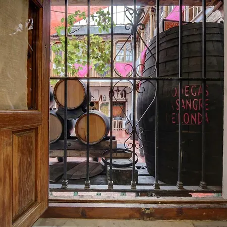 A Museo Casco Historico